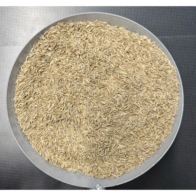 Barenbrug Mow Saver Rasensamen zum Abfüllen