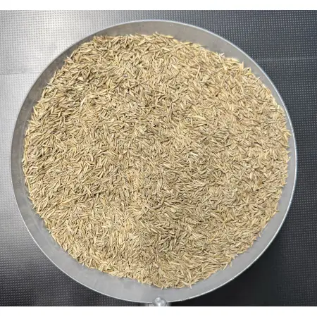 Barenbrug Mow Saver Rasensamen zum Abfüllen